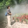 雨花飞梦的头像