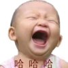 成圣得生的头像