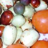 缘来缘去的头像