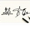 坚持不懈的头像