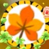 枫叶的头像
