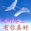 真的在乎你的头像