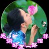 荣耀森蓝情＾ω＾的头像