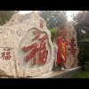 天女散花访必回的头像