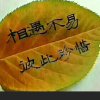 思念的头像