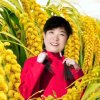  步步顺 的头像