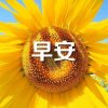 余生陪伴你的头像