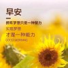 忘了就别回头的头像