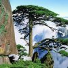 冬天的头像