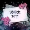 明娟的头像