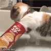 gjjjjjj的头像