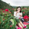 春暖花开的头像