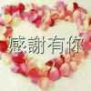 花开花落的头像
