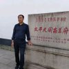 鹰歌雨中的树的头像