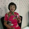 百合花《暂休》的头像