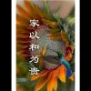 爱至，蓉姐，的头像