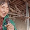 锋锐夏天……暂停的头像