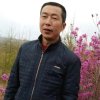 孙凤文的头像