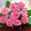 玫瑰花香《 小号》的头像