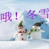 冬雪的头像