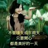 阿雅的头像