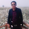 ～无缘的头像