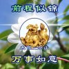 太阳~令山的头像