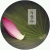 荷花的头像