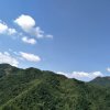 军哥的头像