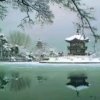 幸福快乐的头像