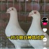 平安是福的头像
