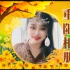 风信子的头像