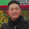 小白杨的头像