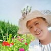 琴的头像