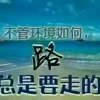 笑看风云的头像