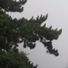 卓卓奶奶的头像