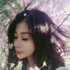 心美世界美的头像