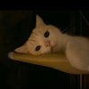 无心睡眠u的头像