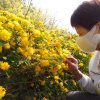 静心（空了回复）的头像