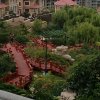 懂你的头像