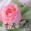 乐在其中的头像