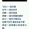 牡丹的头像
