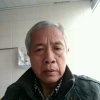 刘迅的头像