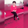 笨笨的头像