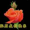 刘玲的头像
