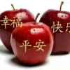我爱我家的头像