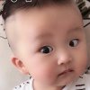 秋意浓的头像
