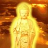 随缘的头像