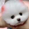 №く弑ッ神的头像