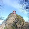 103墨痕的头像